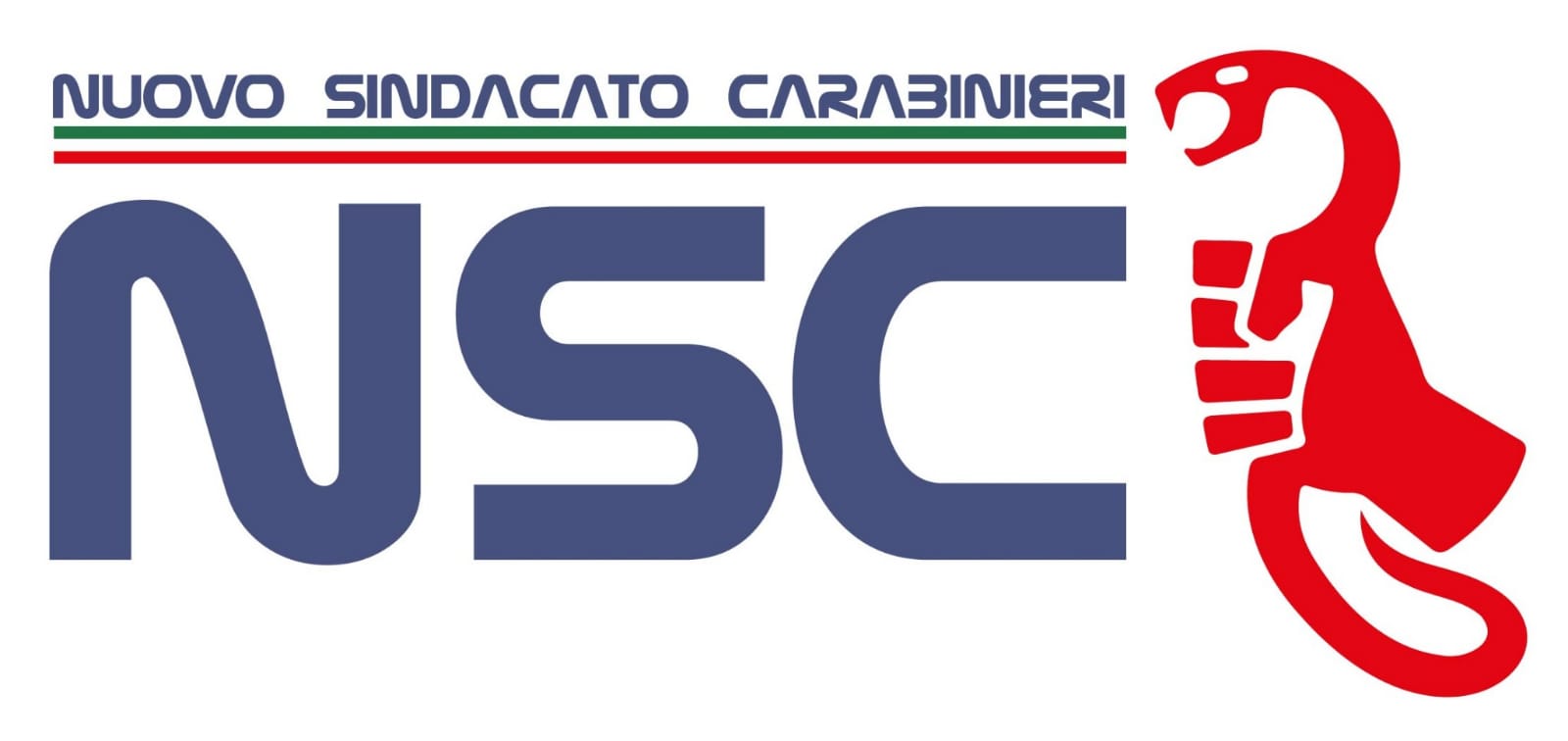 Logo NSC